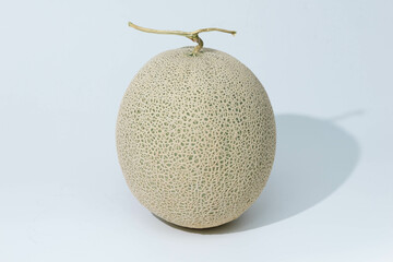 マスクメロン 白背景