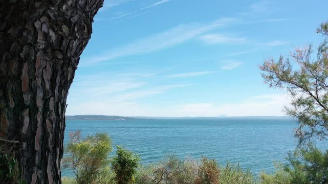 Video from a drone flying smoothly through the branches of pine trees to the open sea on a sunny summer day, the coast of Istres, Provence, France