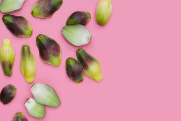 Artichoke petals on pink background.