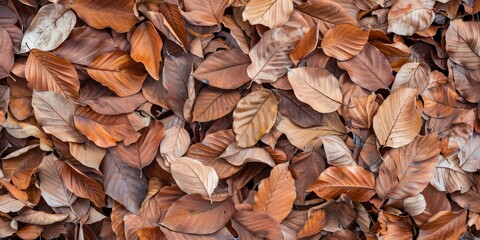 Pile of Brown Dry Leaves Background Symbolizing the Arrival of Autumn, Natural Fertilizer and Botanical Art, High-Resolution AI-Generated Wallpaper