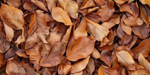 Pile of Brown Dry Leaves Background Symbolizing the Arrival of Autumn, Natural Fertilizer and Botanical Art, High-Resolution AI-Generated Wallpaper