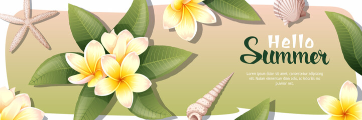 Summer sale banner with plumeria. Background with tropical Thai flower. Yellow Frangipani with shells and clams