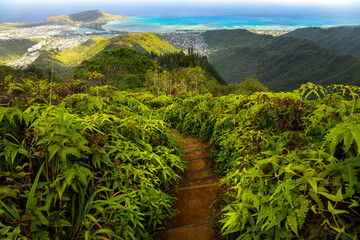 A breathtaking view from Kuliouou Ridge, Oahu, Hawaii, showcasing lush greenery and the distant...