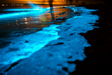 A captivating night scene of bioluminescent algae illuminating the shoreline at Jervis Bay, Australia.