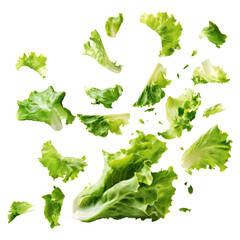 Falling fresh green lettuce salad leaves isolated on transparent white background, clipping path