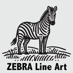 Zebra line art vector Illustration