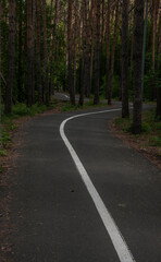 bicycle road in the summer park