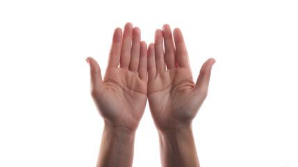 Obraz premium Hands, palms gesturing up, saying hi, greeting, hello, bye isolated on white