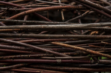 Cut thin branches of a tree stacked in a pile. The brushwood lying on the ground. Scattered thin dry branches. Background of tree branches.