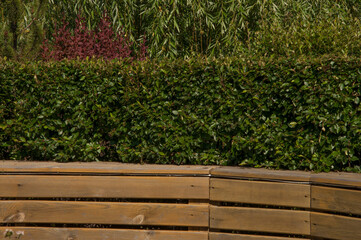 Wooden fence, tree and green grass outdoors