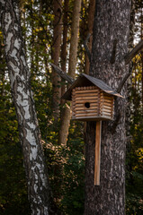 decorative house hanging single object in garden