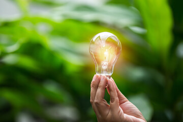 light bulb against nature, icons