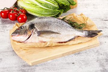 Raw dorada fish served rosemary