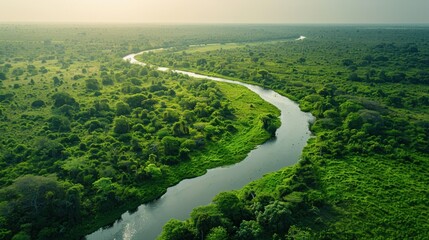 An aerial shot of a lush green forest with a winding river, showcasing untouched nature and biodiversity conservation efforts.
