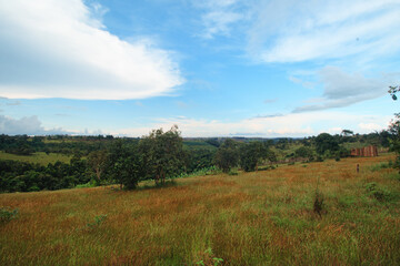 A scenic landscape with a clear blue sky, scattered clouds, grassy fields, and trees that shows a peaceful summer day in the rural countryside of Mondulkiri, Cambodia