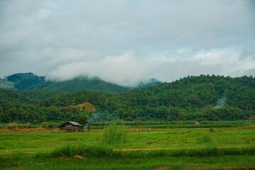 A small house is in the middle of a lush green field