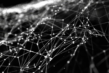 A detailed black and white composition featuring a network of lines and dots, An intricate web of interconnected lines