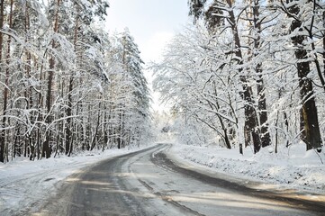 Obraz premium Winter road turn. Curvy road through a winter forest on a sunny day. Snow-capped trees and road covered with ice.