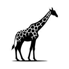 Giraffe Silhouette - Giraffe Vector art - Minimalist Giraffe Design - Giraffe Illustration.