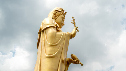 Fototapeta premium The golden large 