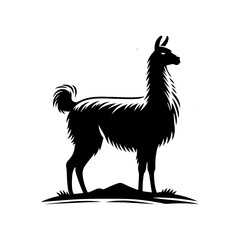 Fototapeta premium Guanaco Silhouette - Guanaco Vector Design - Minimalist Guanaco Illustration.