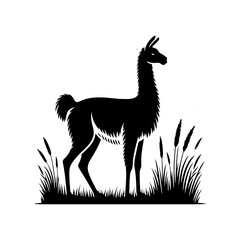 Fototapeta premium Guanaco Silhouette - Guanaco Vector Design - Minimalist Guanaco Illustration.