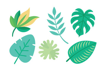 ute Tropical leaf flat vector set illustration