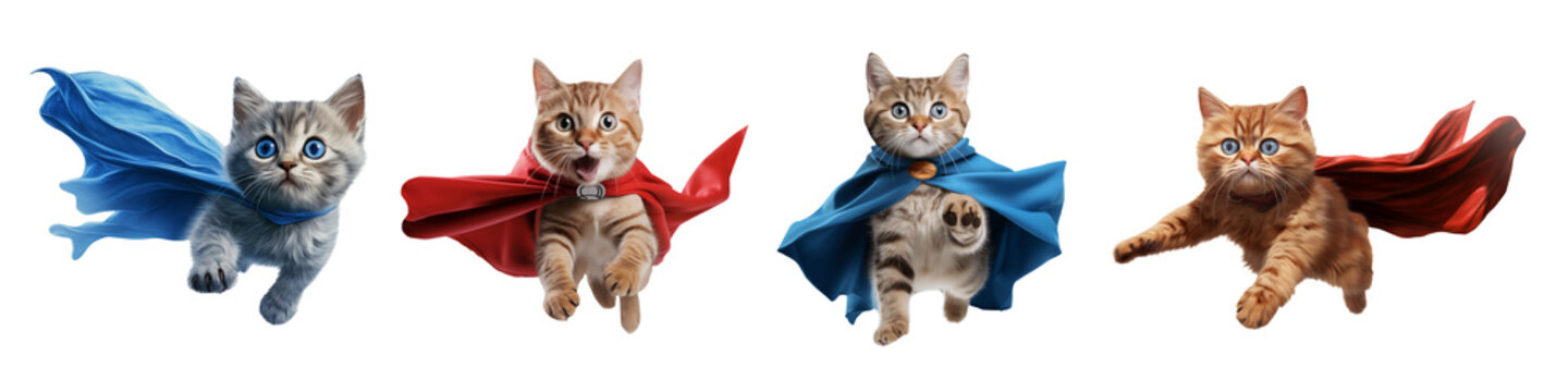 Set of flying cat superhero with cape isolated on transparent background