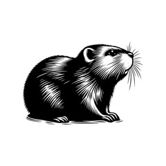 Minimalist Muskrat Silhouette - Muskrat Vector Design - Muskrat Illustration.