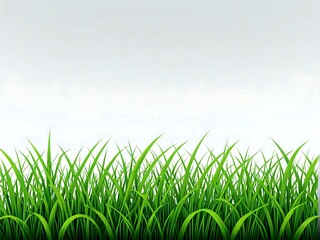 Fototapeta premium Lush green grass blades against a white background, ideal for design projects.