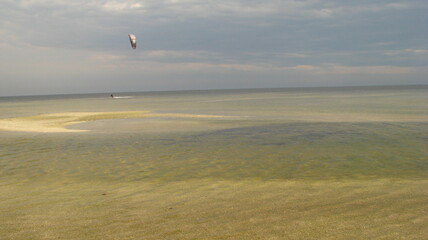 kite on the beach