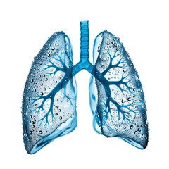 Illustration of human lungs with water droplets, showcasing respiratory system and pulmonary health in a visually striking manner.