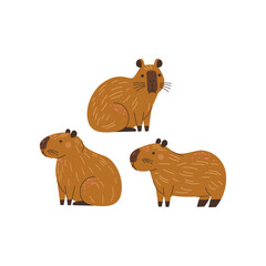 cute kawaii capybara collection set