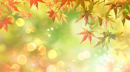 Vibrant Autumn Vibes - Colorful Maple Leaves in Soft Light with Bokeh Effect for End-of-Year Activities Web Banner