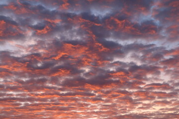 Pink and purple lamb clouds in the sky.