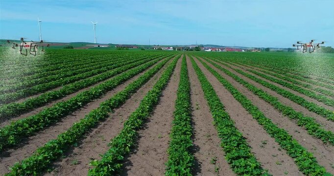 Crop Spraying Drones. Spraying agricultural fields. Using drones in agriculture to spray fields. Agro-drones in agriculture - Agro Drones.