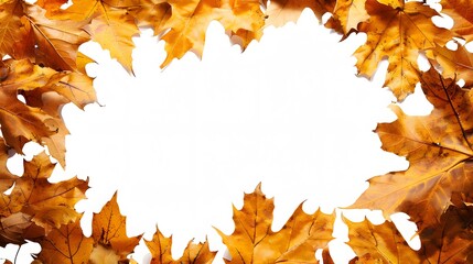 autumn background