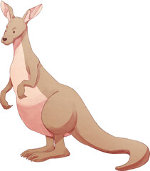 ngaroo Watercolor Illustration