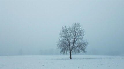 Fototapeta premium Single tree in snow covered field under foggy sky