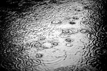 Concentric rings of raindrops falling into a pond. Black and white shot of the water surface with...