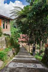 Picturesque Pathway near Traditional Buildings in Lush Greenery