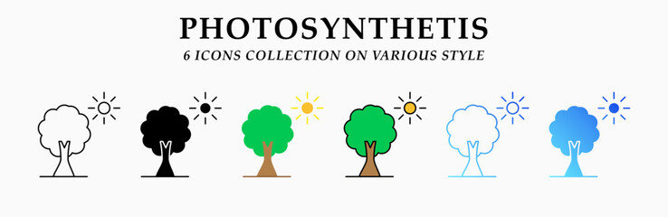 Photosynthetis icons collection. 6 Various styles. Lineal, solid Black, flat, lineal color and gradient. For sign, symbol, presentation, infographic or web graphics. Vector Illustration.