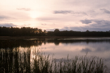 coucher de soleil, Etang,  La Dombes, 01, Ain, France