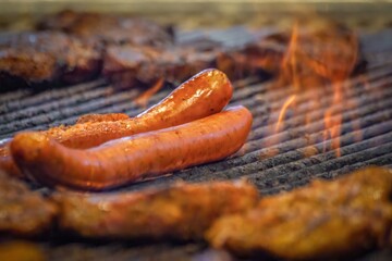 Juicy Grilled Sausages and Meat on Barbecue Grill
