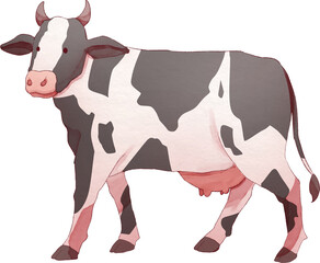 Cow Watercolor Illustration