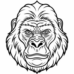 Obraz premium gorilla head vector, simple line, good for mascot and coloring page