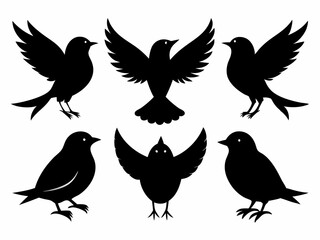 set of silhouettes of birds Vector, isolated black silhouette bird bundle
