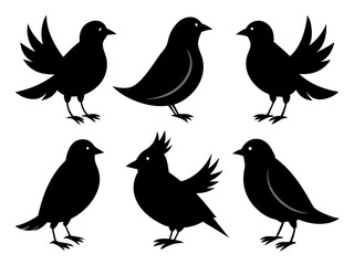 set of silhouettes of birds Vector, isolated black silhouette bird bundle
