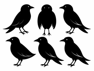 set of silhouettes of birds Vector, isolated black silhouette bird bundle
