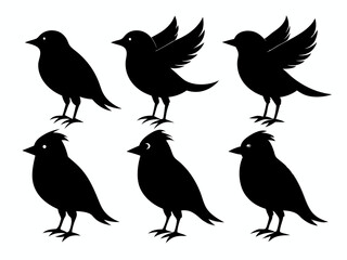 set of silhouettes of birds Vector, isolated black silhouette bird bundle
